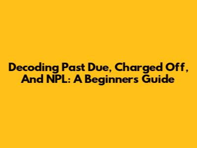 Decoding Past Due, Charged Off, And NPL: A Beginner's Guide